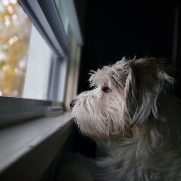 Meet your Posher, Vanessa - Picture 2 of 7